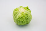 卷心菜