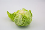 卷心菜