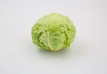 卷心菜