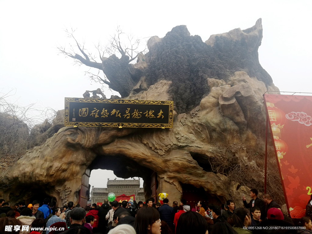 临汾大槐树