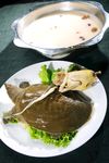 甲鱼乳鸽汤锅