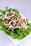 蟹味菇