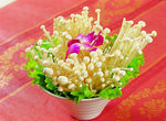 金针菇