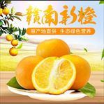 脐橙
