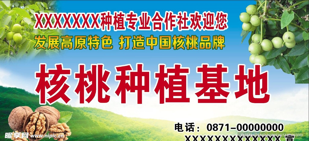 核桃种植基地