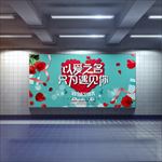以爱之名只为遇见你