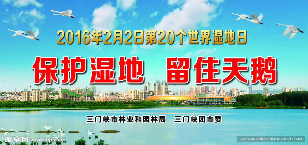 天鹅
