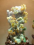 鲜花玉雕工艺品