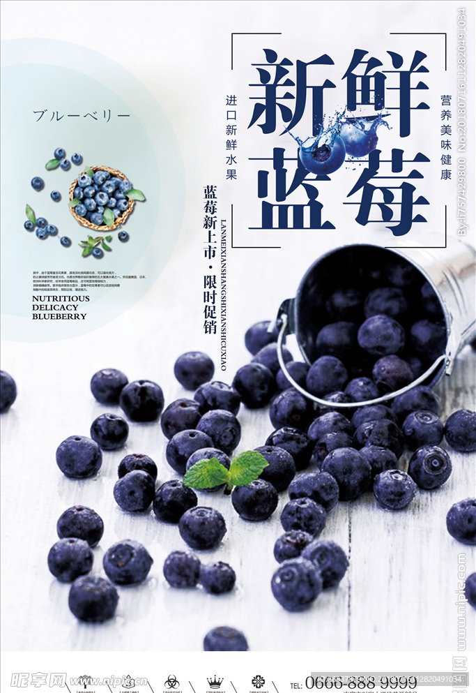 新鲜蓝莓创意户外海报