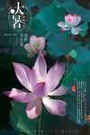 大暑-赏荷花