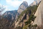 黄山风景