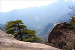 黄山