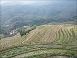 龙脊梯田