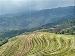 龙脊梯田