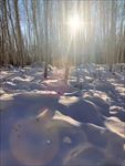 雪