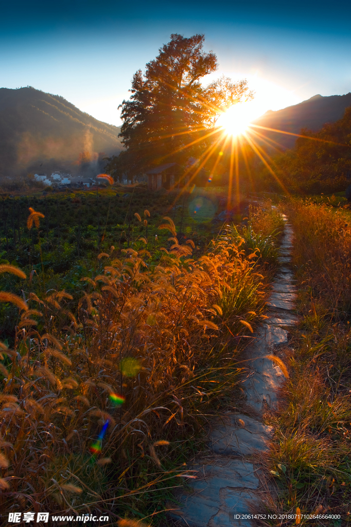 夕阳下的乡村风景