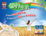 麦片海报