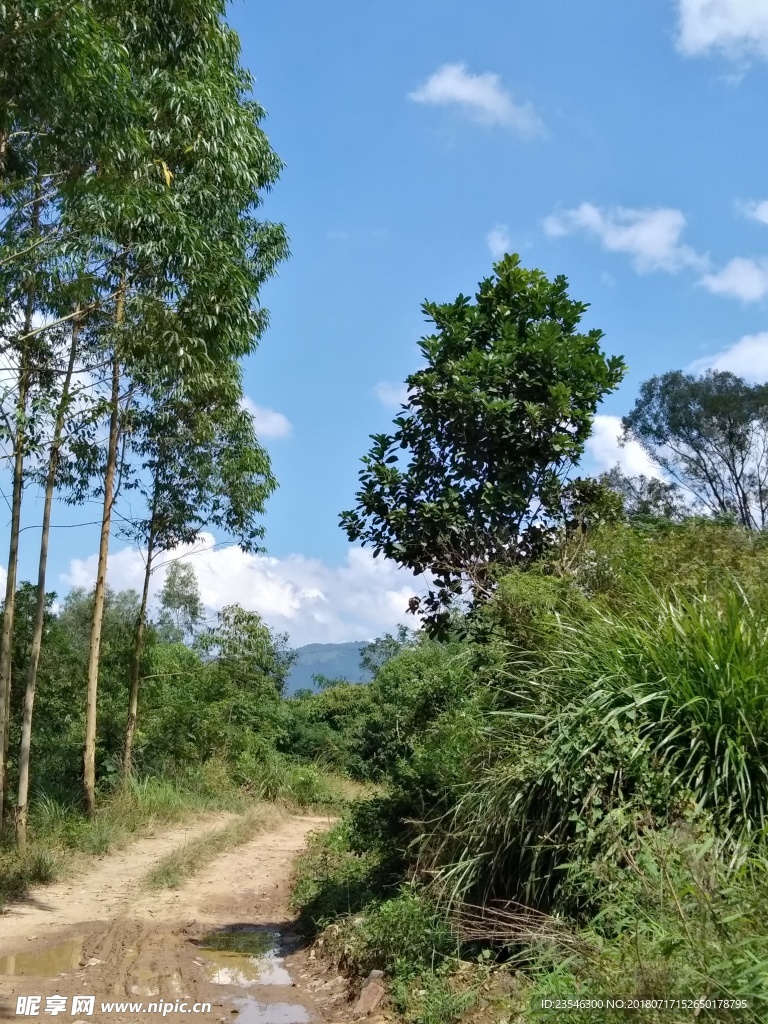 乡村山路