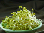 涮豆芽