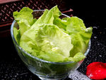 西生菜