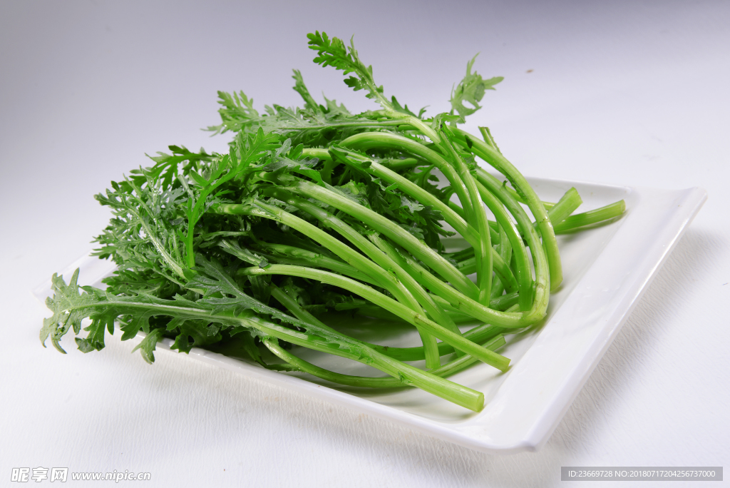茼蒿