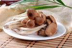 茶树菇
