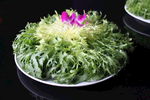 涮苦菊