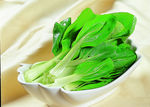 小青菜