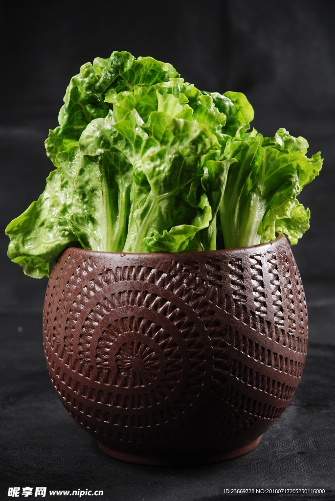 生菜