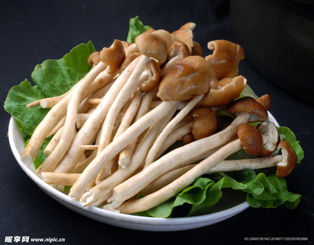 涮茶树菇