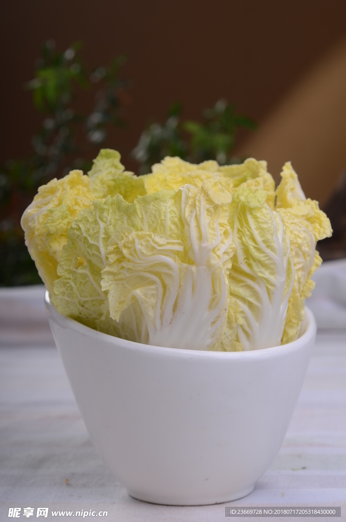 娃娃菜