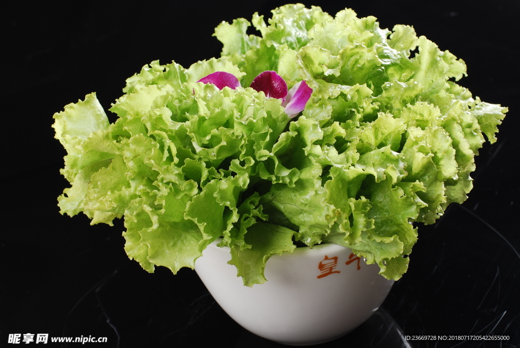 生菜
