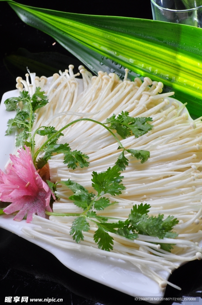 金针菇