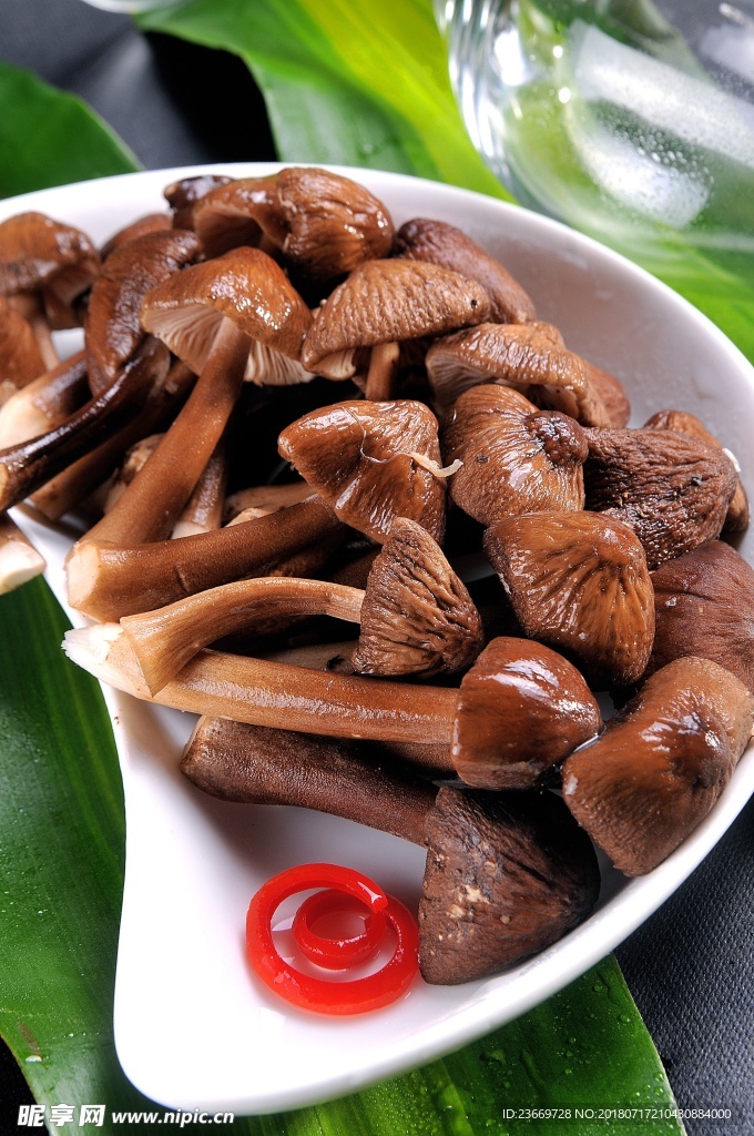 鸡枞菇