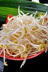 大豆芽