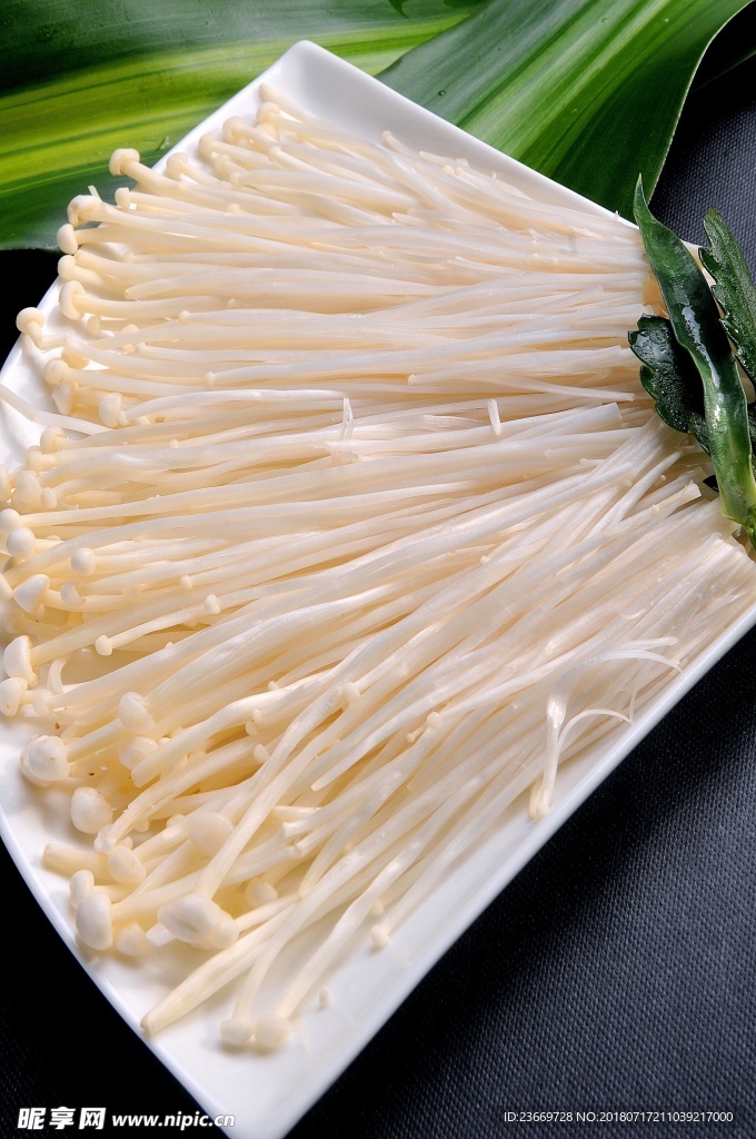 金针菇