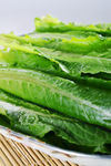 油麦菜