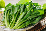油麦菜