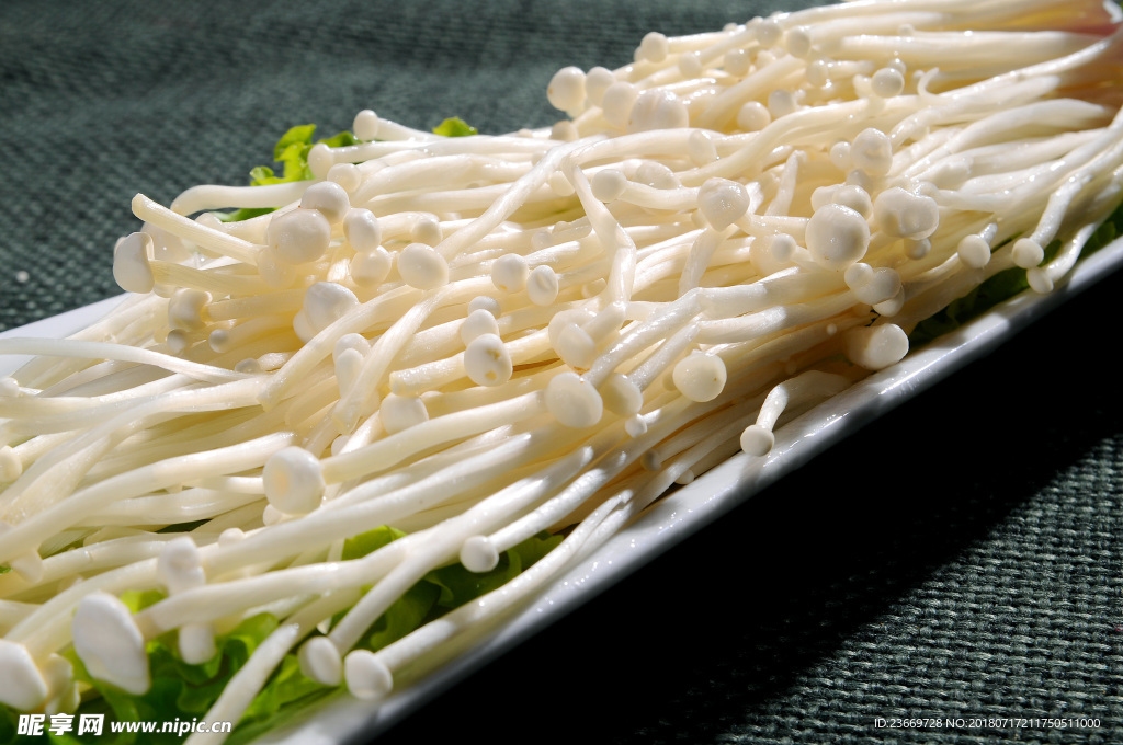 金针菇