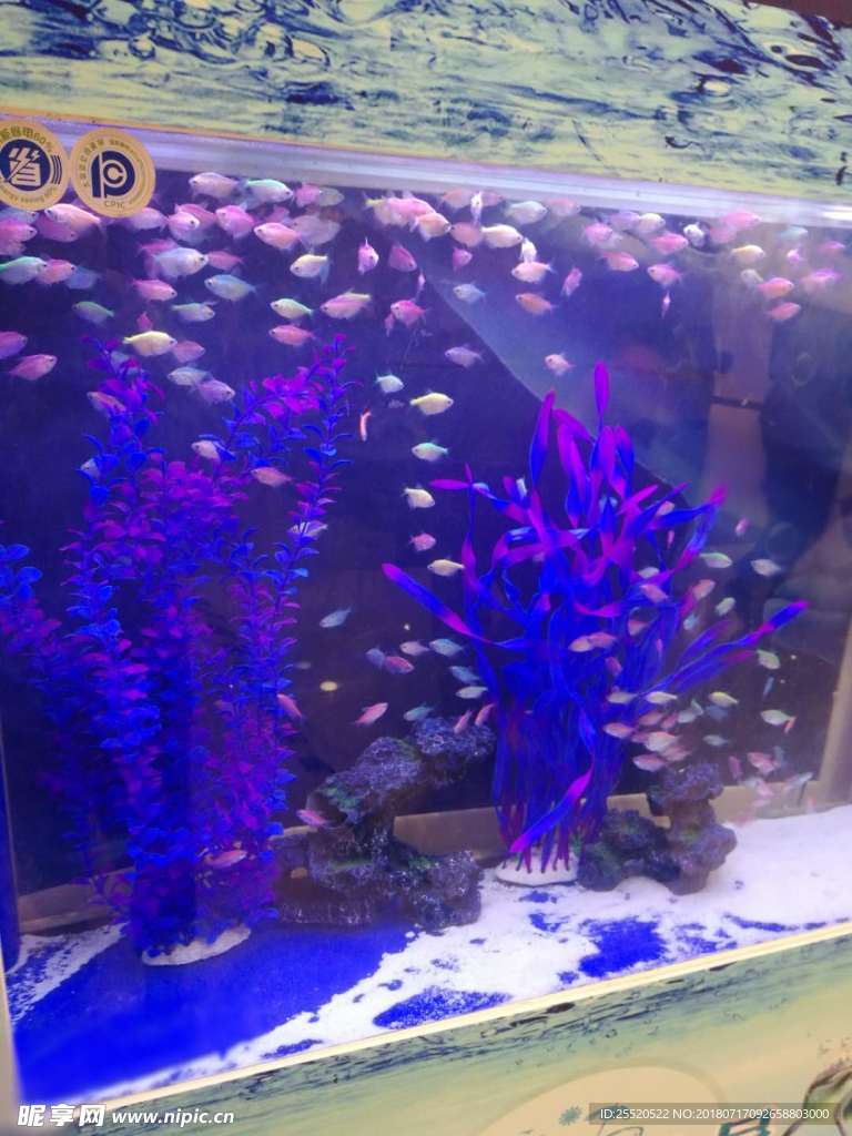 海洋