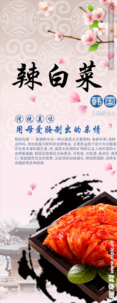 辣白菜 韩式料理海报