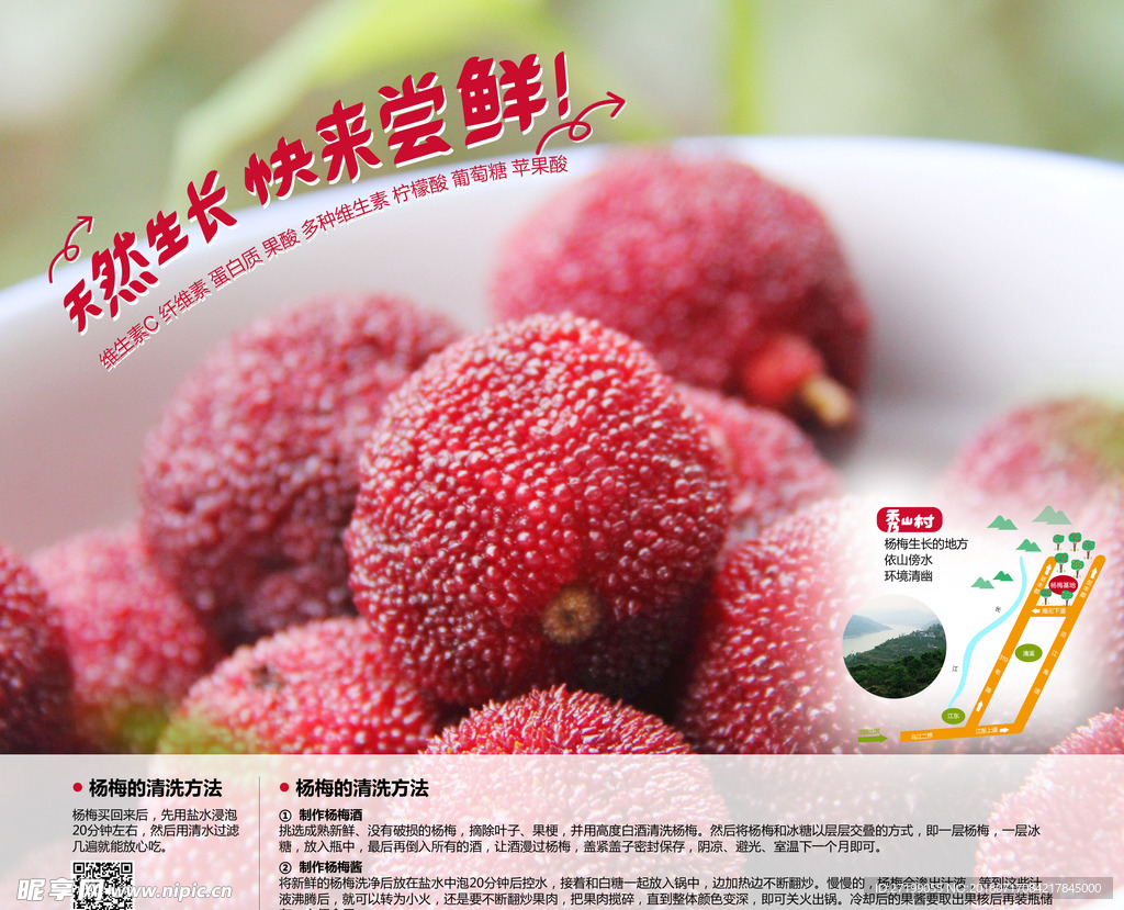 杨梅封面
