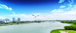 佛山季华大桥景观 河 城市天空