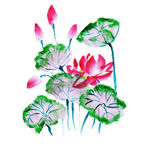 矢量水彩花卉
