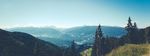 山