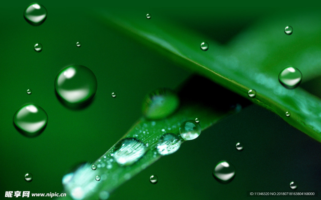 水珠
