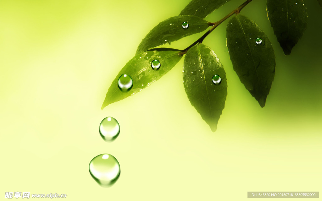 水珠