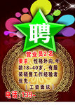 招聘  海报