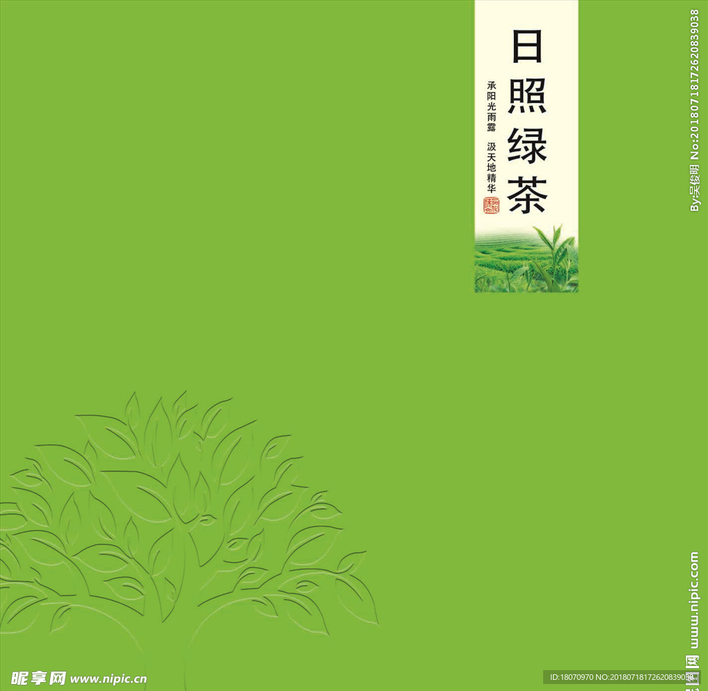 日照绿茶