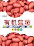 花生海报